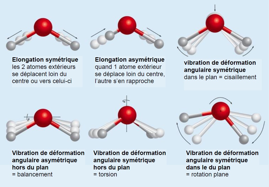 Vibrations et rotations de la molécule d'eau